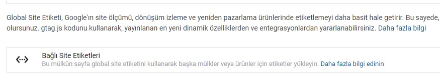 ga4siteetiketibağlama